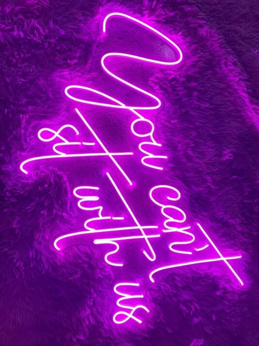 You Cant Sit With Us Custom Text Quote Christmas Decor Led Sign Neon