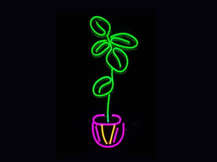 Fiddle Leaf Fig Plant Neon Sign