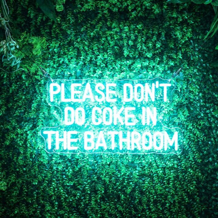 Please Dont Do Coke In The Bathroom Neon Sign