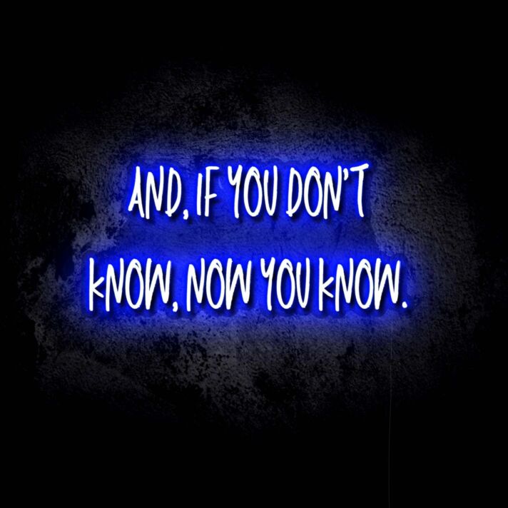 If You Don't Know, Now You Know LED Neon Sign