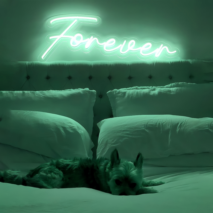 Forever with Neon Art