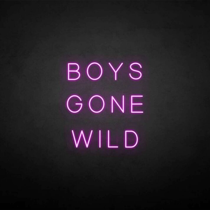 BOYS GONE WILD' neon sign