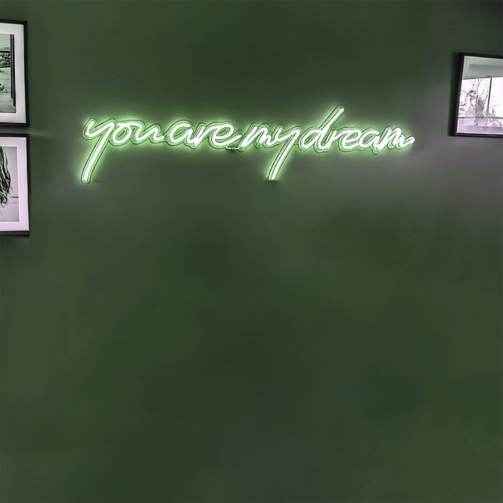You are My Dream: Illuminate Your Space with Neon Fantasies