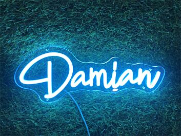 Bring Your Space to Life: Personalize Custom Damian LED Neon Sign for Home, Office, Bar, and Wedding Ambiance.