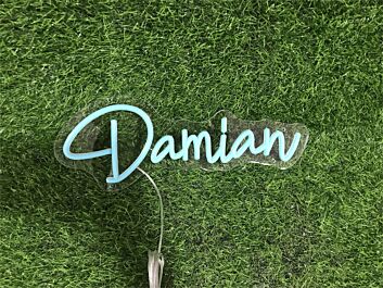 Bring Your Space to Life: Personalize Custom Damian LED Neon Sign for Home, Office, Bar, and Wedding Ambiance.