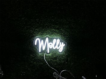 Elevate Your Space: Add a Glow to Your Home, Office, or Bar with the Personalize Custom Molly LED Neon Sign.