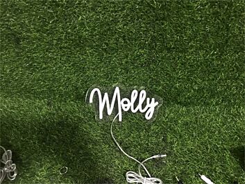 Elevate Your Space: Add a Glow to Your Home, Office, or Bar with the Personalize Custom Molly LED Neon Sign.