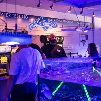 Brighten Up Your Space: Blue Whales Neon Sign for Home Decor, Bars, and Celebratory Events