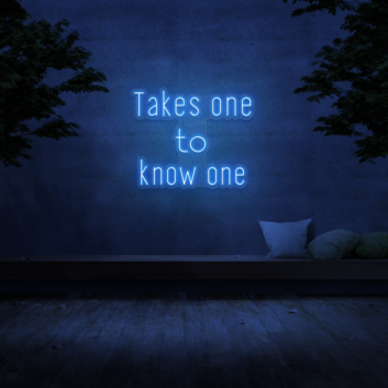 &#39;Takes One To Know One&#39; Neon Sign