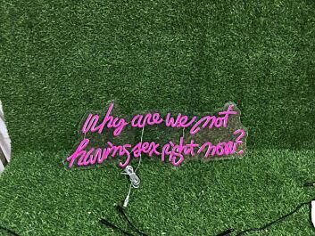 Brighten Up Your Bedroom, Bar, or Bachelorette Party with the &quot;Why Are We Not Having Sex Right Now&quot; Pink Custom LED Neon Sign.