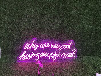 Brighten Up Your Bedroom, Bar, or Bachelorette Party with the "Why Are We Not Having Sex Right Now" Pink Custom LED Neon Sign.