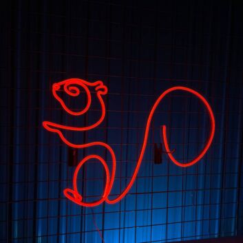 Squirrel Led Neon Sign Cute Animal Led Light Restaurant Room Decor Bar Club Decor