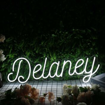 Delaney White Neon Sign