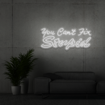 You can&#039;t fix stupid Neon Signs