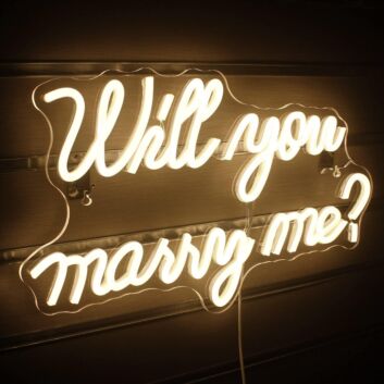 Will You Be My Girlfriend Neon Sign