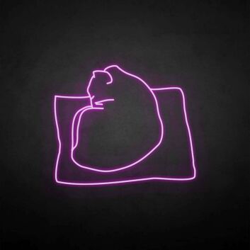 &#39;The cat on the pillow&#39; neon sign