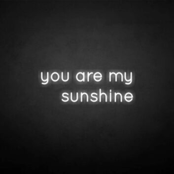 &#39;You are my sunshine&#39; neon sign