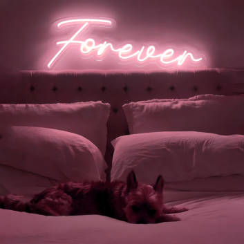 Forever with Neon Art