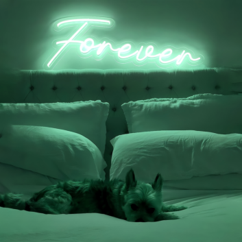 Forever with Neon Art