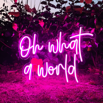 Oh What a World: Let Your Space Shine with Wonder!