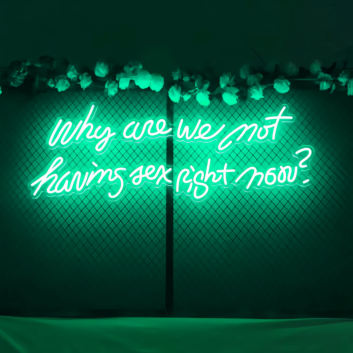 Why Are We Not Having Sex Right Now Neon Sign: Let Desire Light the Way