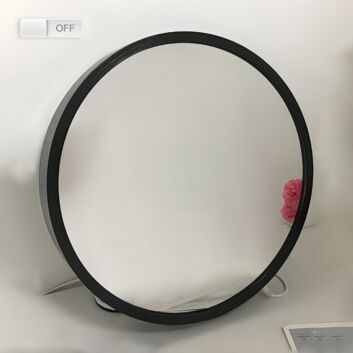 Elegant Butterfly 3D Mirror Effect