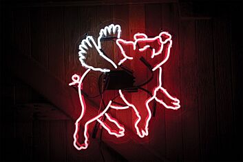Flying Pig Neon Sign for Whimsical and Fun Spaces