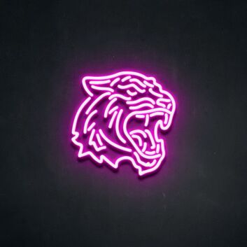 Tyga Neon Sign adds a bold statement to any room