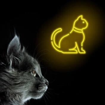 Cute Cat Neon Sign for Pet Lovers