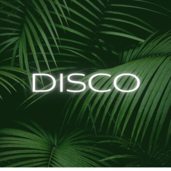 Brighten Up Your Nights: Disco LED Neon Sign for Bars, Clubs, and Festive Home Parties