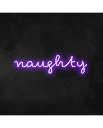 Naughty Neon Sign