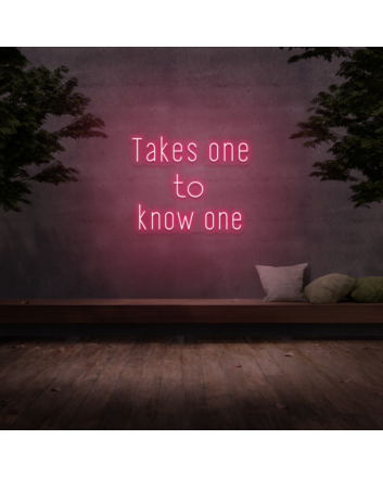 &#39;Takes One To Know One&#39; Neon Sign