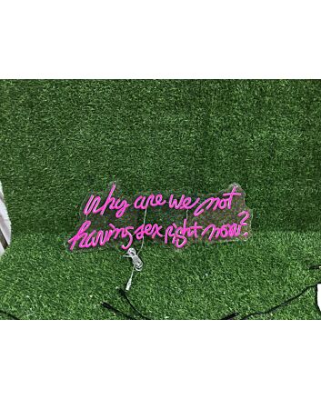 Brighten Up Your Bedroom, Bar, or Bachelorette Party with the &quot;Why Are We Not Having Sex Right Now&quot; Pink Custom LED Neon Sign.