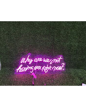 Brighten Up Your Bedroom, Bar, or Bachelorette Party with the "Why Are We Not Having Sex Right Now" Pink Custom LED Neon Sign.