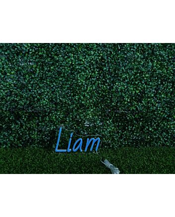 Brighten Up Your Space: Liam Blue LED Neon Sign Perfect for Home Decor, Office Ambiance, and Vibrant Store Displays