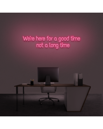 &#39;We're here for a good time, not a long time&#39; Neon sign