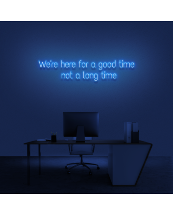&#39;We&#039;re here for a good time, not a long time&#39; Neon sign
