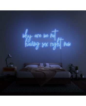 Why Are We Not Having Sex Right Now Neon Sign