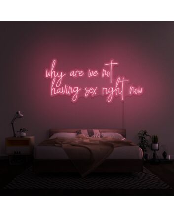 Why Are We Not Having Sex Right Now Neon Sign