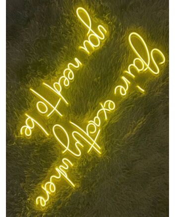 Youre Exactly Where You Need To Be Pub Bar Decor Hanging Led Neon Sign