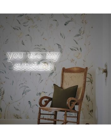 You Are My Sunshine LED Neon Sign