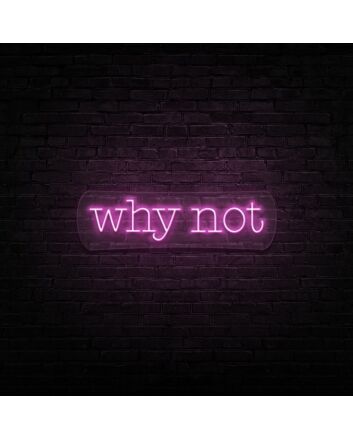 Why Not Neon Sign