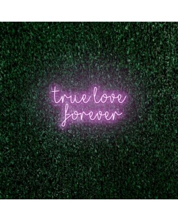 True love forever LED neon sign