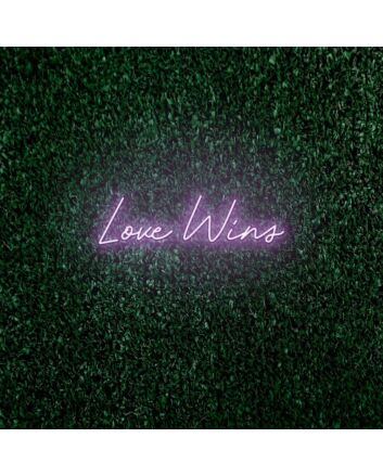 Love Wins LED Neon Sign