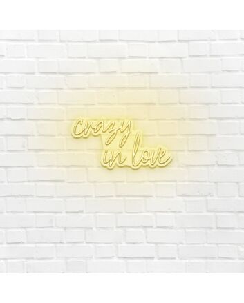 Crazy in love LED neon sign