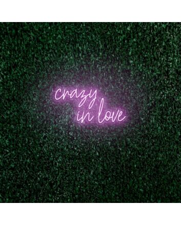 Crazy in love LED neon sign