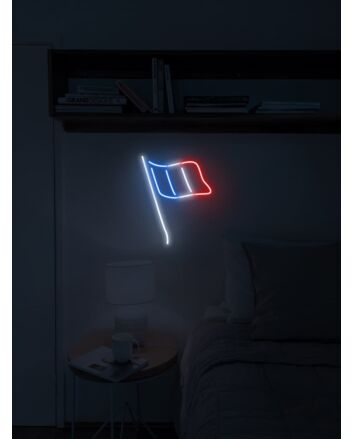 Flag of France Neon Sign