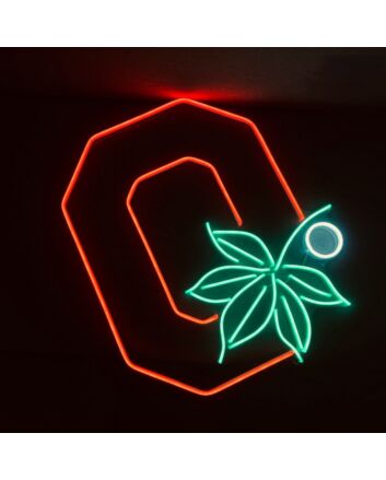 Ohio Neon Sign