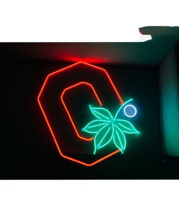 Ohio Neon Sign
