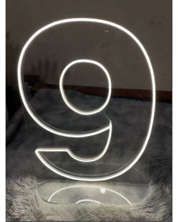 Custom Number Neon Sign